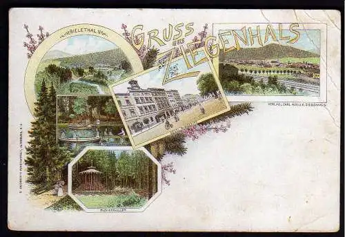 56056 AK Ziegenhals Glucholazy Litho um 1900 Bieletal Ringseite Musikpavillon