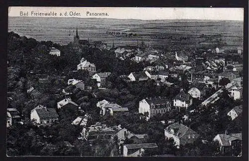 56256 AK Bad Freienwalde a. d. Oder Panorama 1919 Kunstanstalt Max OBrien Berlin