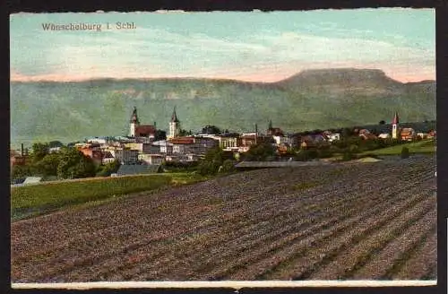 55536 AK Wünschelburg in Schlesien Radkow um 1920