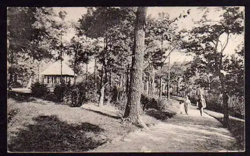 56490 AK Berlin Dahlem Waldweg am Schwarzen Grund 1921
