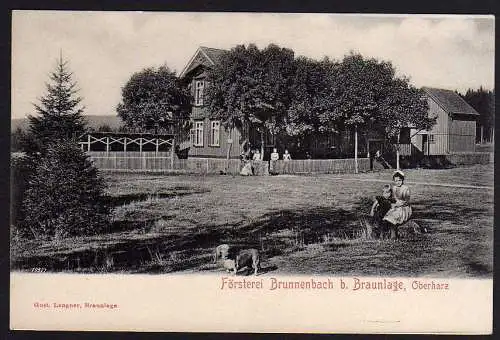 56569 AK Braunlage Försterei Brunnenbach Oberharz Dackel Hund um 1900