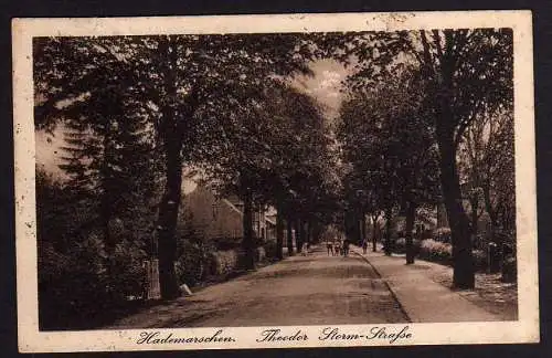 56434 AK Hademarschen Theodor Storm Straße um 1920