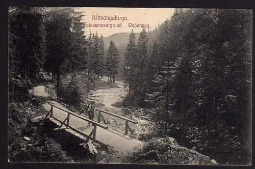 56823 AK Riesengebirge Weisswassergrund Weberweg 1906