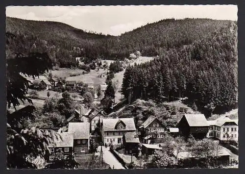 56736 AK Quelitz Unterweißbach Blick nach der kalten Rinne 1962