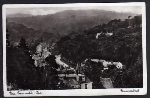58205 AK Bad Freienwalde (Oder) 1934 Brunnenthal