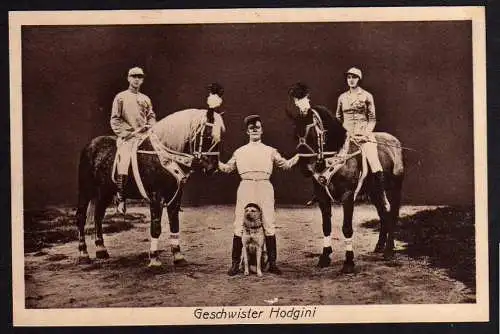 58368 AK Geschwister Hodhini Pferde Dessur um 1920