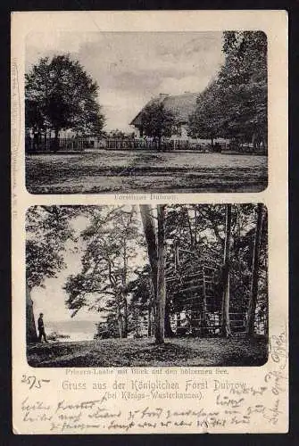 74542 AK Königlicher Forst Forsthaus Dubrow b. Königs Wusterhausen 1902