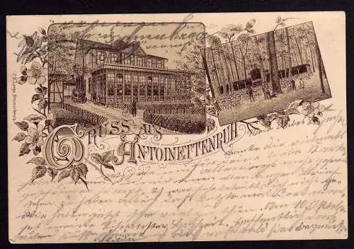 74457 AK Wolfenbüttel 1895 Antoinettenruh