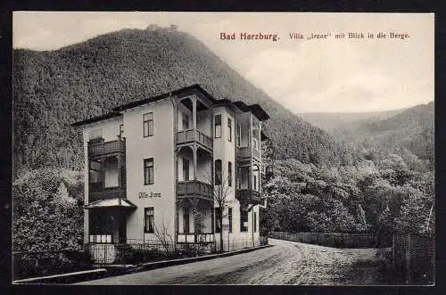 83069 AK Bad Harzburg Villa Irene   um 1910