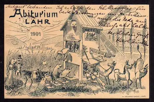 86724 AK Lahr Schwarzwald 1901 Abiturium Mulusweide Frosch Esel Frösche