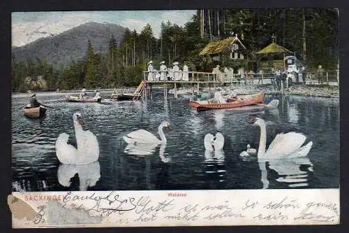 87034 AK Säckingen Waldsee Gondelteich Schwäne Seesteg 1906