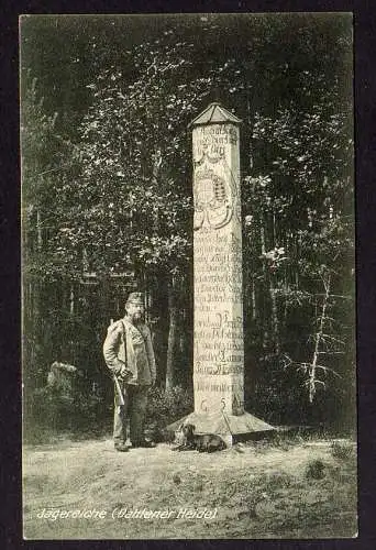 87238 AK Naturdenkmal Jägereiche Dahlener Heide um 1920