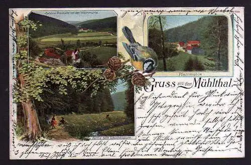 89115 AK Mühltal Schöne Aussicht bei d. Walkmühle Schönheitsborn Pfarrmühle 1903