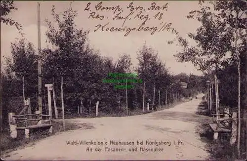 162900 AK Wald-Villenkolonie Neuhausen bei Königsberg i. Pr. 1914 Hasenallee