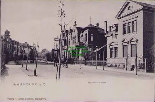 162891 AK Naumburg Saale um 1905 Buchholzstrasse Verlag v. Ernst Schöler 