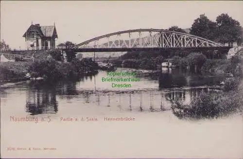 162842 AK Naumburg a S. um 1902 Partie a. d. Saale Hennenbrücke Brück & Sohn