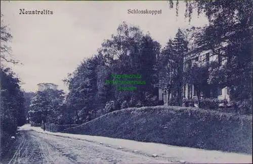162890 AK Neustrelitz 1907 Schlosskoppel