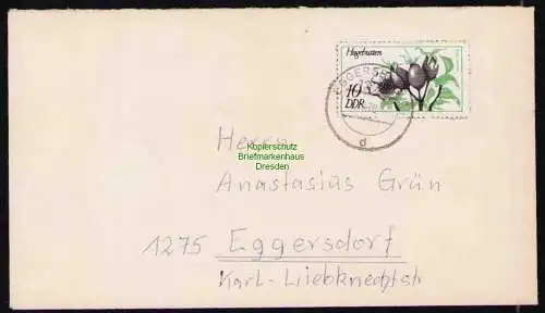 B19469 Brief DDR Druck aus Zeitung Portobetrug Eggersdorf 1978