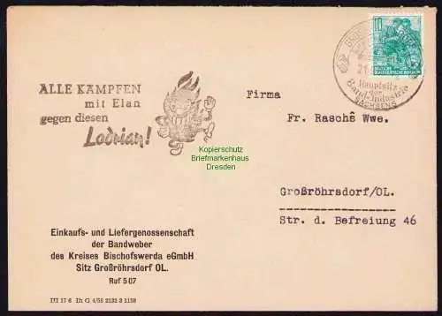 B19552 Brief Losungsstempel Propaganda Großröhrsdorf 1960 Lodrian Feuerteufel
