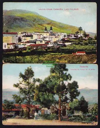 B19496 2 AK Las Palmas de Gran Canaria Arucas Tenerife um 1910