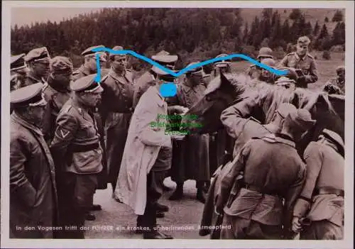 166332 AK Photo Hoffmann München Karte W 12 Luxemburg 1940 krankes Armeepferd