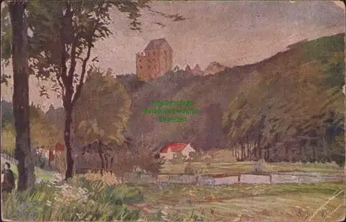 160429 AK KARL NAGEL BOLKENHAIN SCHWEINHAUS um 1920 VERLAG R. MITSCHKE