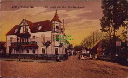 167076 AK Bad Oppelsdorf 1924 Dorfstraße mit Villa Vergißmeinnicht