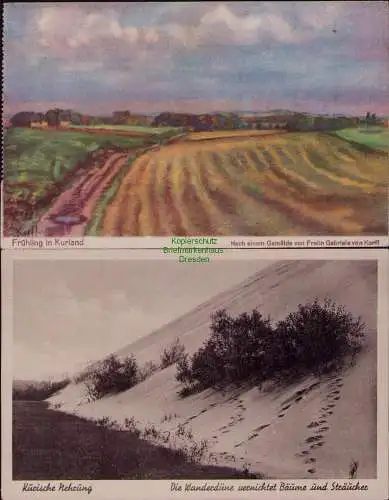 167030 2 AK Frühling in  Kurland 1918 Kurische Nehrung Wanderdüne 1943 Feldpost