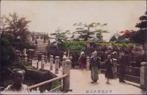 167016 AK Tsingtau Kiautschou 1908 Kanto Ikyu Wisteria Blüte Kameido Tokyo