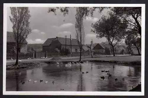 58702 AK Dymokury Dimokur Dorf Teich See