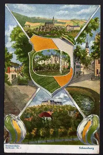 58785 AK Schneeberg Seminarstadt 1910 Wappen