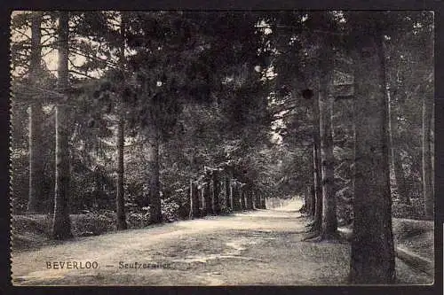 58818 AK Beverloo Seufzerallee Feldpost ca. 1918