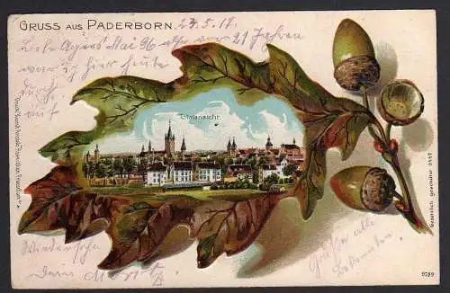 59058 AK Eichenblattlitho Paderborn um 1905 erst 1917 versendet Feldpost