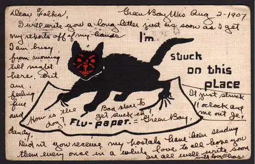 59333 AK Kater Katze 1907 I'm stuck on this place