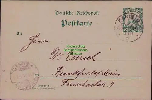 163297 AK DSW Deutsch Südwestafrika Ganzsache Karibib 1901 nach Frankfurt