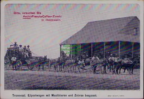163322 AK Transvaal Eilpostwagen mit Maultieren und Zebras bespannt um 1900