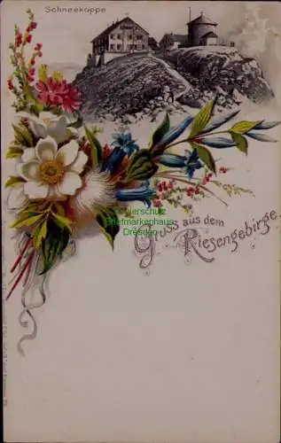 163472 AK Riesengebirge Schneekoppe Litho um 1900 Blumendekor