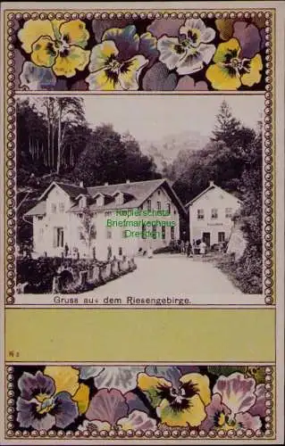 163424 AK Gruss aus dem Riesengebirge Stiefmütterchen Dekor Künstlerkarte  Litho
