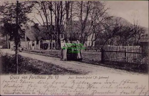 163398 AK Forsthaus No. VI Post Deutsch-Gabel Nord Böhmen 1904