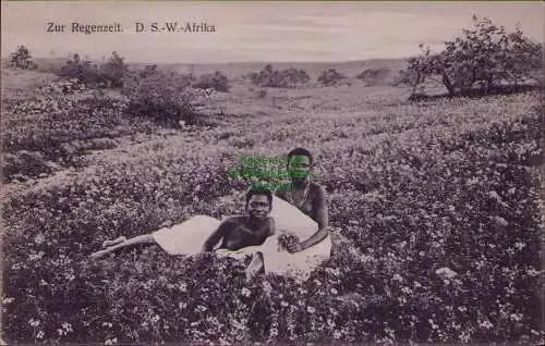 167241 AK Zur Regenzeit. D. S.-W.-Afrika2 Afrikanerinnen in blühender Wiese F. N