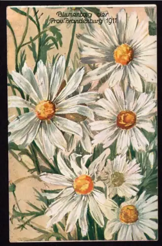36735 AK Berlin Brandenburg Blumentag 1911