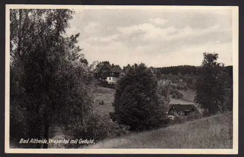46145 AK Bad Altheide Wiesental mit Geduld um 1930
