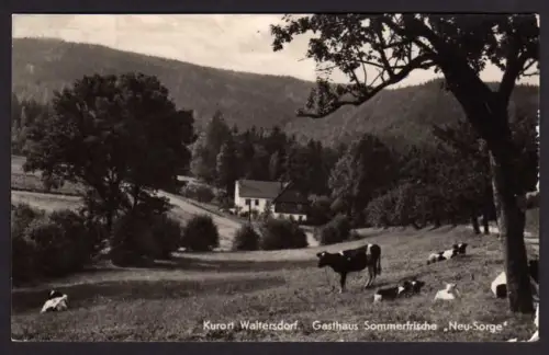 39787 AK Kurort Waltersdorf 1957 Gasthaus Sommerfrische Neu-Sorge