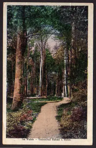 42829 AK Ostseebad Dahme - Im Walde 1919