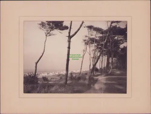 B22684 Foto Ostsee im Passepartout 24 x 18 cm Strandweg Strandkörbe Hans Sander