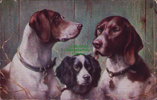 190193 AK Schleswig 1912 Drei Hunde Künstlerkarte