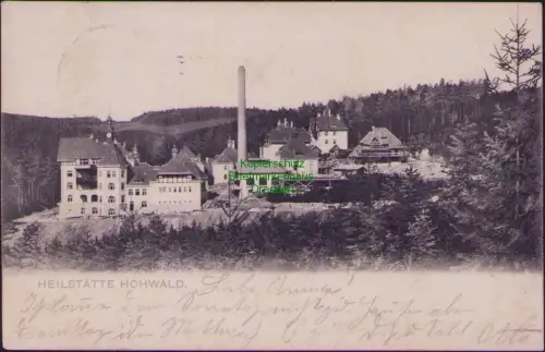 190262 AK HEILSTÄTTE HOHWALD Original u. Verlag v. Julius Grunewald, Oberneukirc