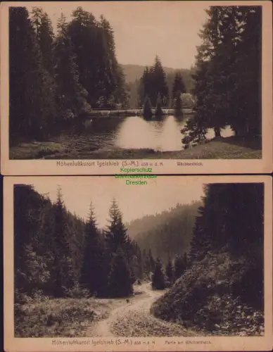 190697 2 AK Höhenluftkurort Igelshieb (S.-M.)  Neuhaus am Rennweg Wächtersteich