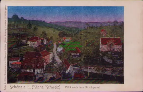 190698 AK Schöna a. E. (Sächs. Schweiz) Blick nach dem Hirschgrund Verlag O. Kel