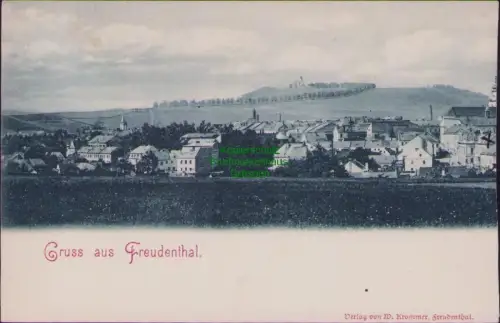 164186 AK Freudenthal in Schlesien Bruntal Panorama 1899 Verlag von W. Krommer,